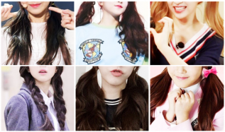 KOREAN IDOL Braided Pigtails