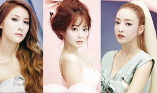 KARA DISBAND 2016