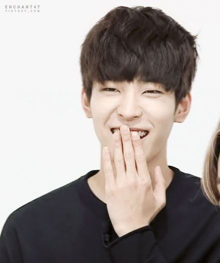 wonwoo seventeen smile idols