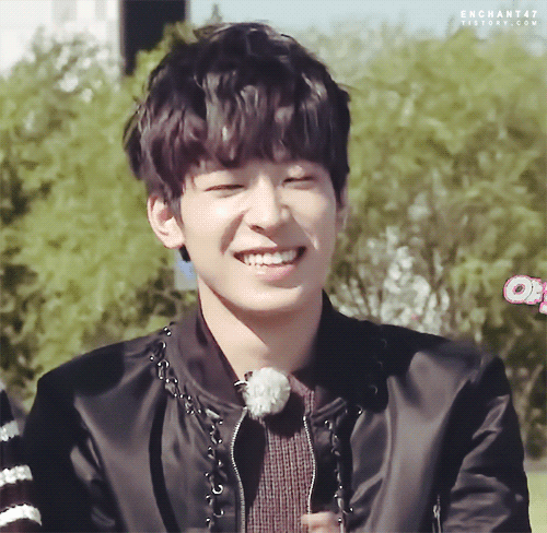 wonwoo seventeen smile idols