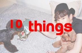 celebrity pet, korean celebrity pet, CL‬ Donut, ‎GD‬ Gaho, ‎HeeChul‬ HeeBum, Taeyeon‬ Ginger, Jaejoong‬ Hiro, ‎Key Comme des and Garcons, Lee ‎Hyori Soon Shim Yi, ‎Gain BongSamee, ‎SungYeol Jureumie, ‎Mir Akdori, idol pet, 10things, 10things kpop