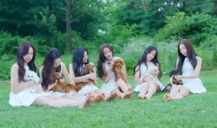 april kpop, april teaser, april member, april profile, dsp april, kara april